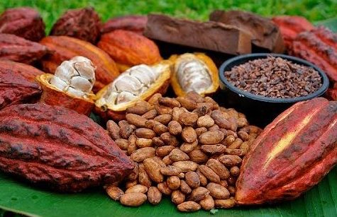 Cocoa beans and cocoa pods on a banana leaf mixed with Salto La Jalda (Hiking and Swimming).