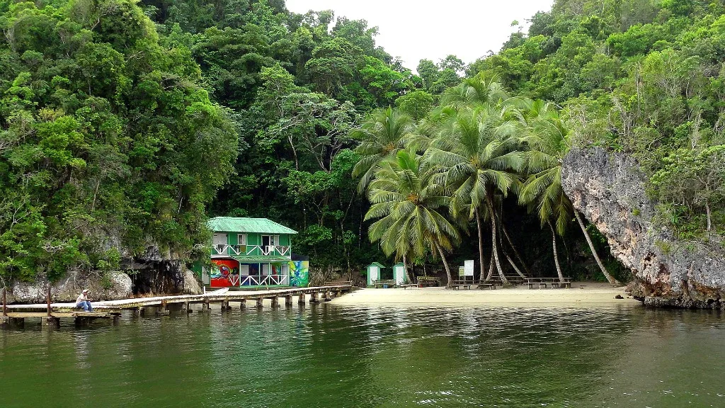 Mangroves Reforestation in Los Haitises With Locals on Kayak - immagine 4