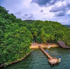 Mangroves Reforestation in Los Haitises With Locals on Kayak - immagine 3