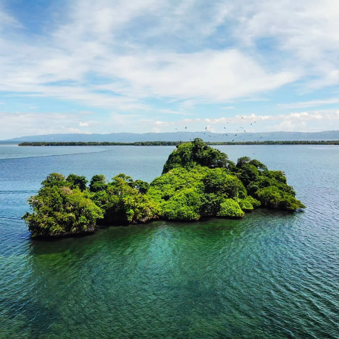 Mangroves Reforestation in Los Haitises With Locals on Kayak - immagine 7