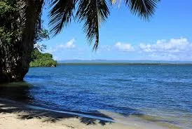 Mangroves Reforestation in Los Haitises With Locals on Kayak - immagine 10