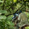 Un groupe de personnes montant à cheval à travers la jungle de Salto La Jalda (randonnée et natation).