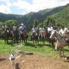 Un groupe de personnes à cheval avec un chien en arrière-plan, dirigé par Salto La Jalda (Randonnée et Natation).