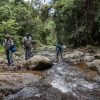 Un groupe de personnes utilisant le Salto La Jalda (randonnée et natation) naviguant dans un ruisseau dans la jungle.