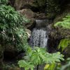 Salto La Jalda cercado por exuberantes plantas verdes.