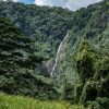 Salto La Jalda (randonnée et natation) coule gracieusement au milieu d'une forêt verte et vibrante.