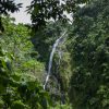 Cascade Salto La Jalda au milieu d'une jungle verdoyante.