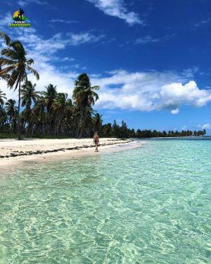 île de saona