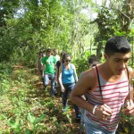 Caminata + Kayak Parque Nacional Los Haitises desde Punta Cana
