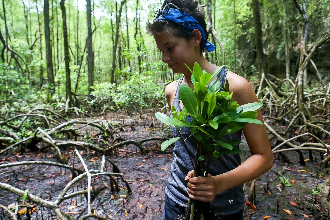 Mangroves Reforestation in Los Haitises With Locals on Kayak - immagine 26