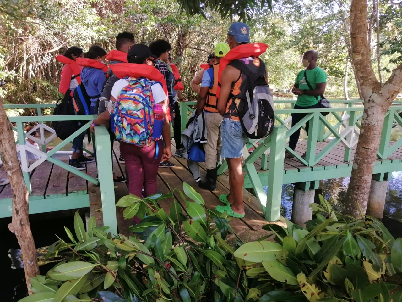 Mangroves Reforestation in Los Haitises With Locals on Kayak - immagine 30