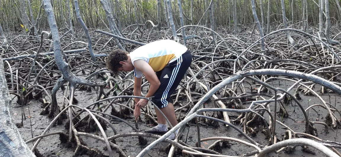 Mangroves Reforestation in Los Haitises With Locals on Kayak - immagine 31