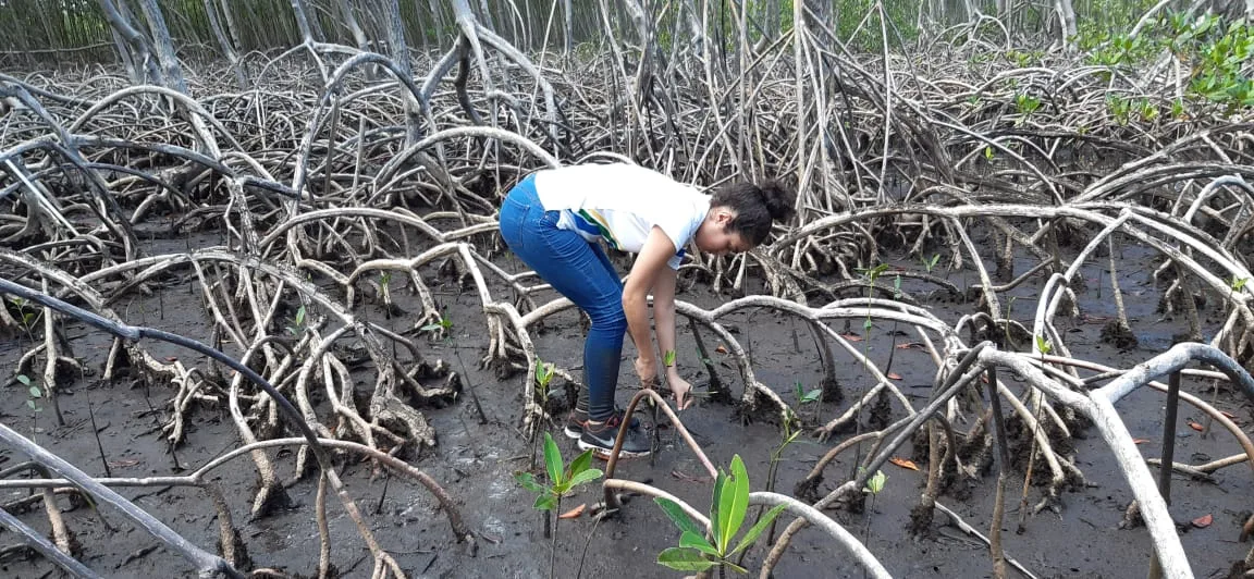 Mangroves Reforestation in Los Haitises With Locals on Kayak - immagine 33