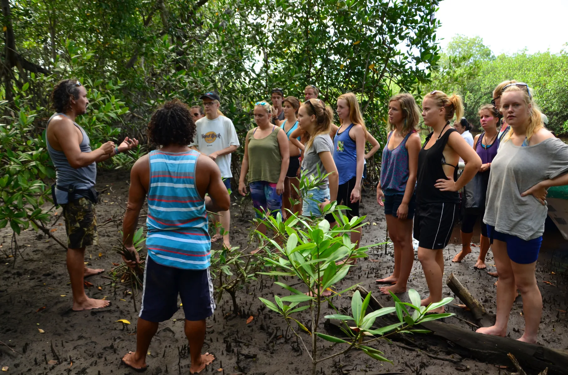 Mangroves Reforestation in Los Haitises With Locals on Kayak - immagine 22