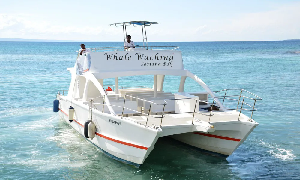 Excursion Whale Watching Samaná bay + Cayo Levantado  from Puerto Plata (Private Transportation) - Slika 2