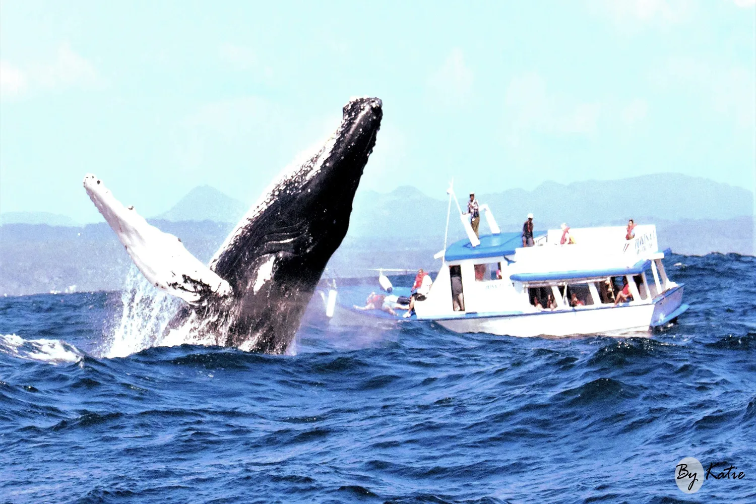 Excursion Whale Watching Samaná bay + Cayo Levantado  from Puerto Plata (Private Transportation) - Slika 3