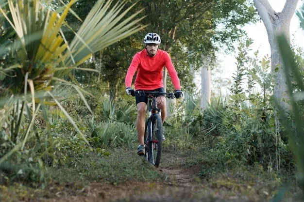Mountain Bikes + 4 hours kayaks Los Haitises - obrazek 12
