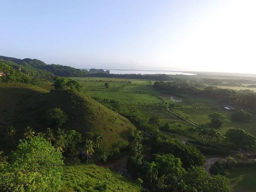 Private Boat Trip &  2 Hours Hiking Rain Forest Los Haitises - Image 3