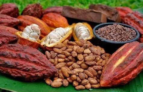 El Limón Waterfalls  (Hiking and Swimming) - 图片 9