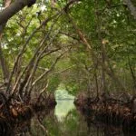 Parco Nazionale Los Haitises + Pranzo a Caño Hondo da Sabana de la Mar