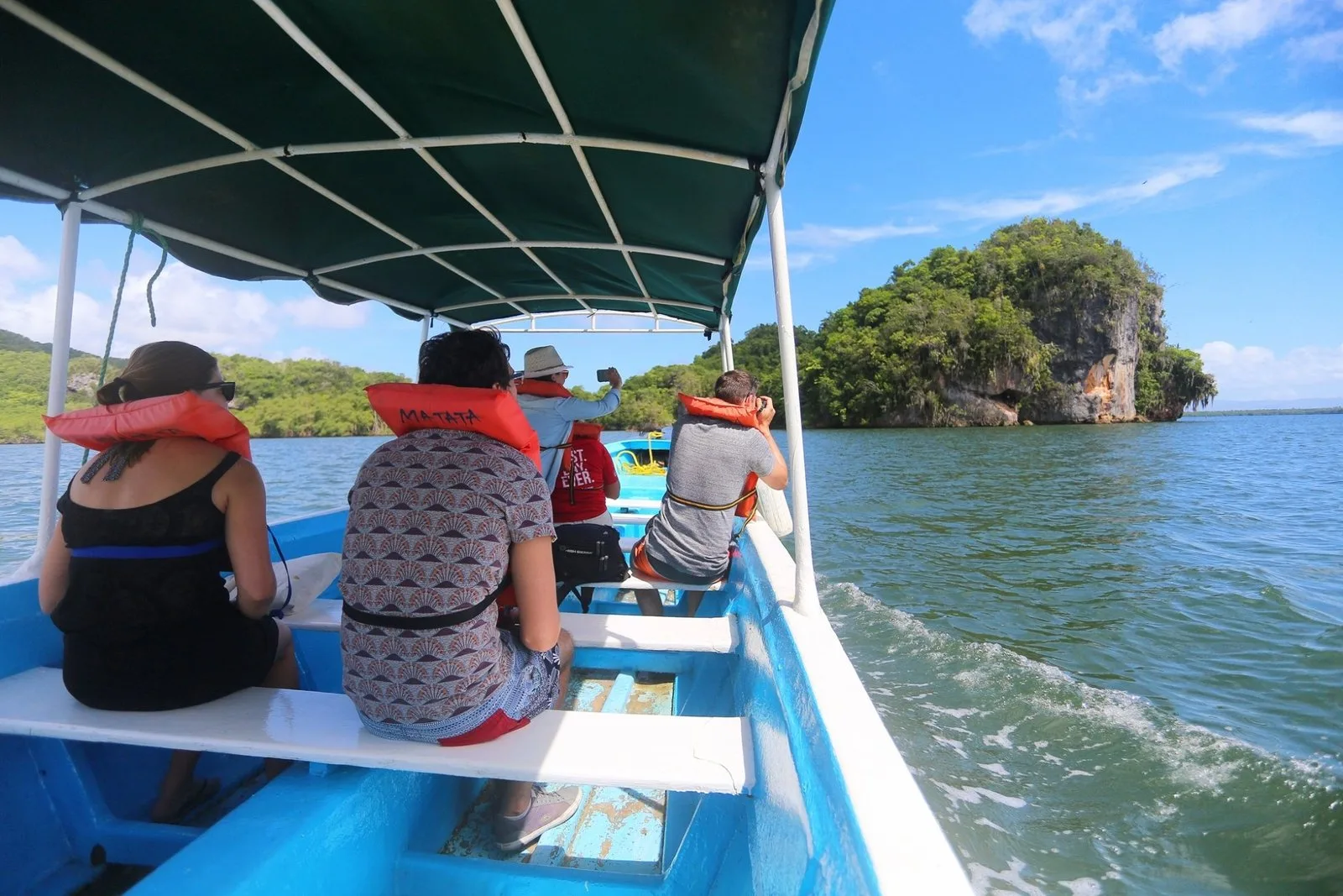 Private Boat Trip &  2 Hours Hiking Rain Forest Los Haitises - Image 6
