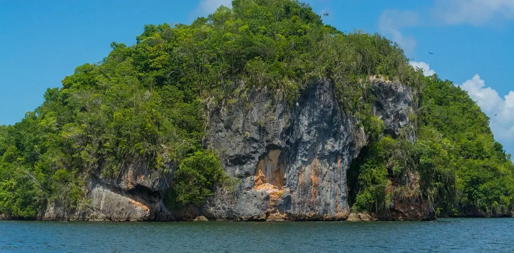 Private Boat Trip &  2 Hours Hiking Rain Forest Los Haitises - Image 8