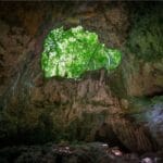 Los Haitises National Park Tour from Las Terrenas, Samaná. Half Day Trip. Lunch at Caño Hondo.