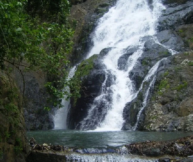 El Limón Waterfalls  (Hiking and Swimming) - 图片 5